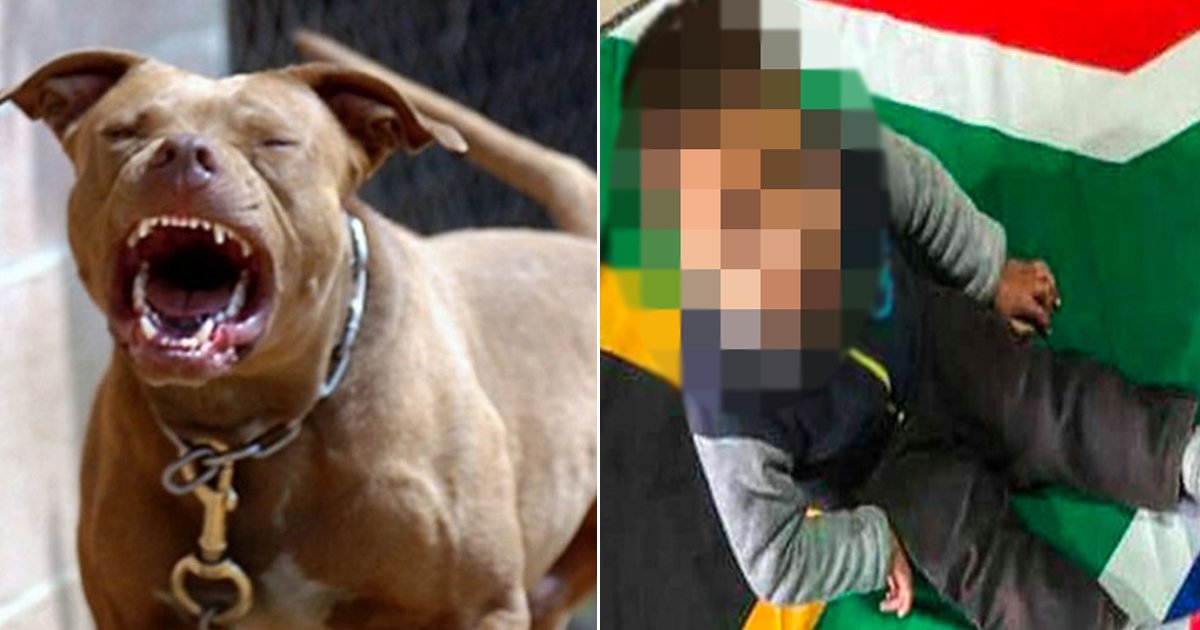 x.jpg?resize=412,275 - 3-Year-Old Mute And Deaf Kid Died After Brutally Mauled By Neighbour's Pitbull