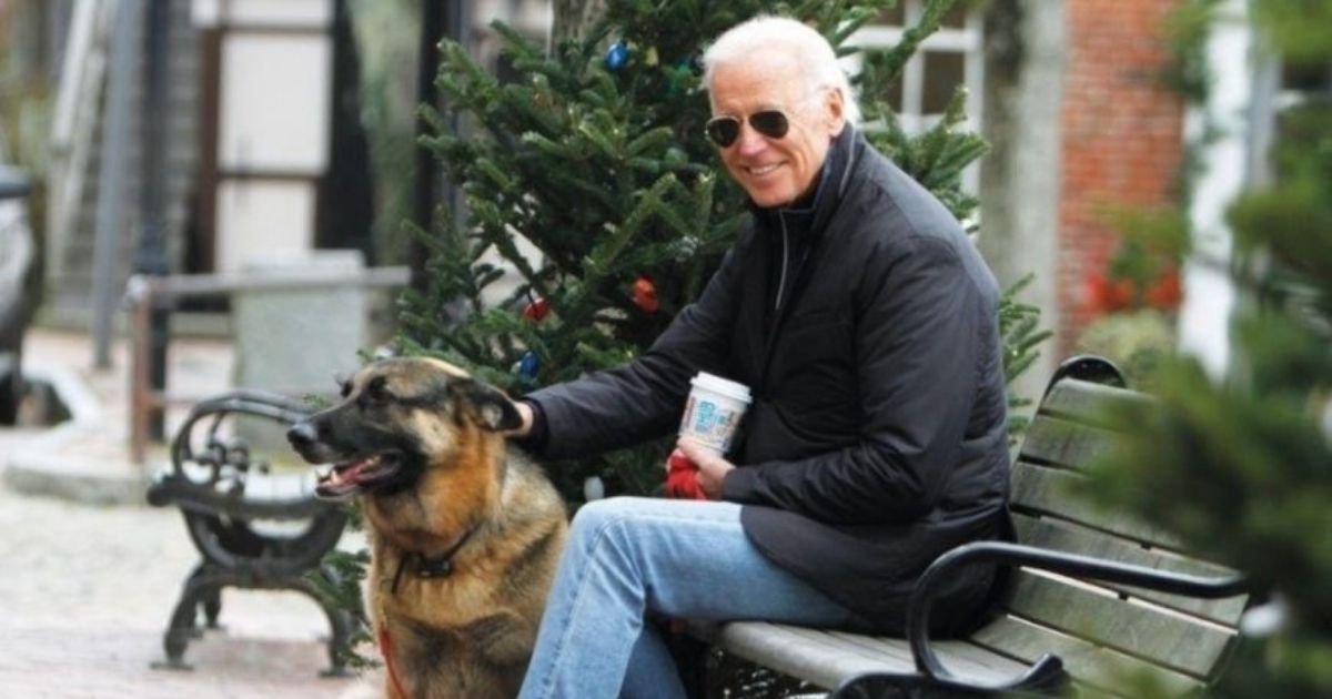 1 59.jpg?resize=412,232 - President-Elect Joe Biden’s German Shepherd Will Be The First Rescue Dog To Live In The White House