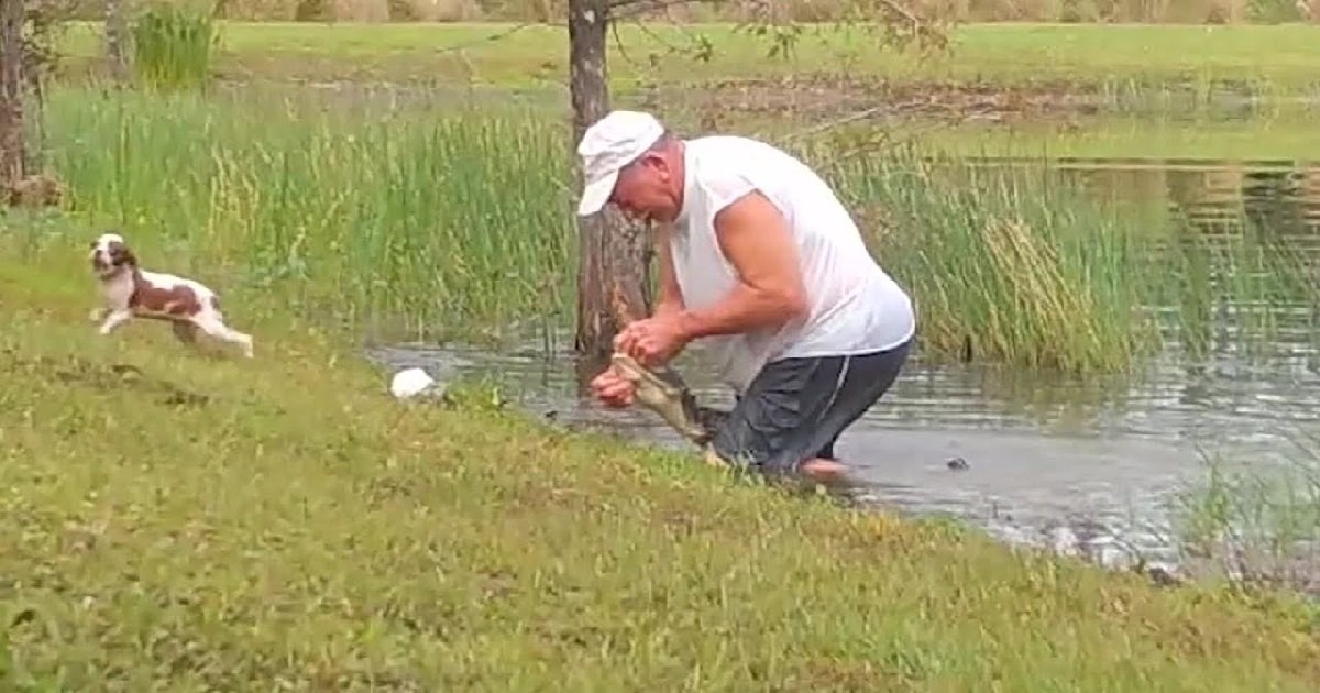 1 florida.jpg?resize=1200,630 - Vidéo: un homme a plongé à l'eau pour sauver son chien des crocs d'un alligator
