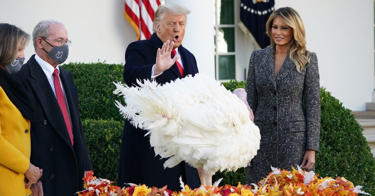 2020 11 25 107885 1606260667  large e1606328574876.jpg?resize=1200,630 - Etats-Unis : Trump a gracié sa dernière dinde pour Thanksgiving