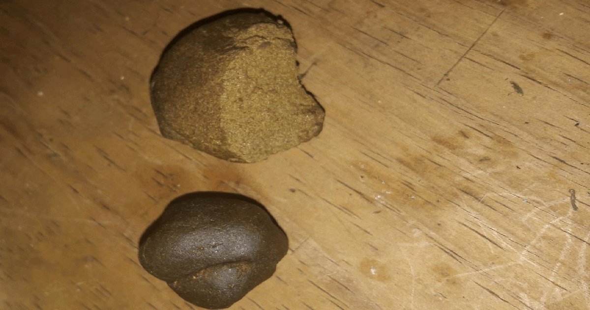 3 shit.jpeg?resize=1200,630 - Morbihan: un enfant de deux ans a avalé la boulette de cannabis de son père