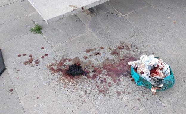 La Policía cree que los restos los biológicos y la sangre hallados en una  calle de Valencia son de feto | El Diario Vasco