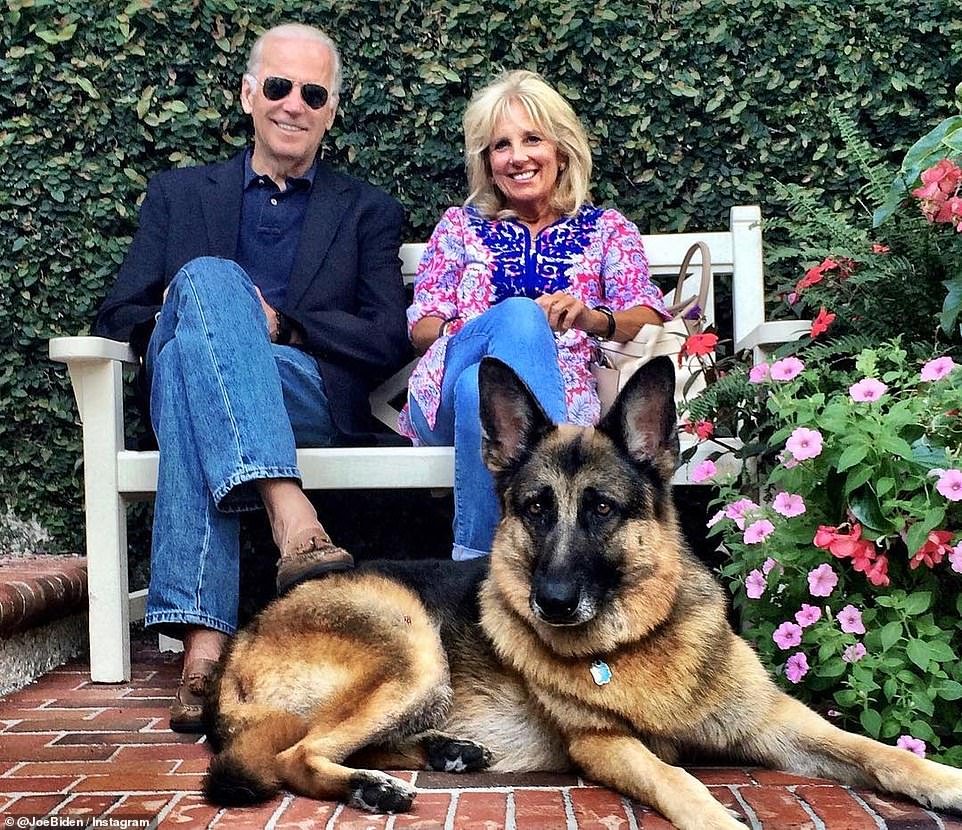 For the first time in four years, dogs will be returning back to the White House when Joe Biden is sworn in as president in January 2021 (Champ pictured with Jill and Joe)