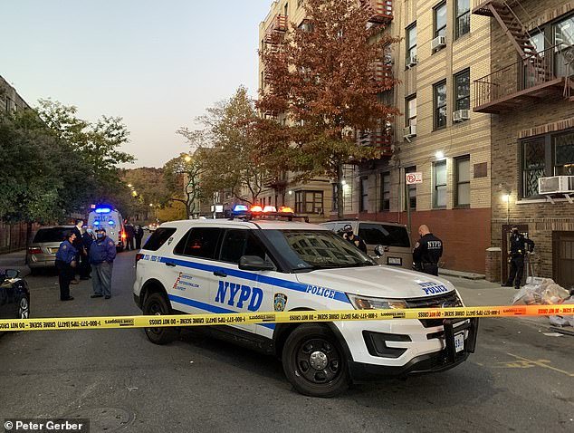 One-week-old twin boys found dead and wrapped in brown paper outside Bronx apartment building - xoonews