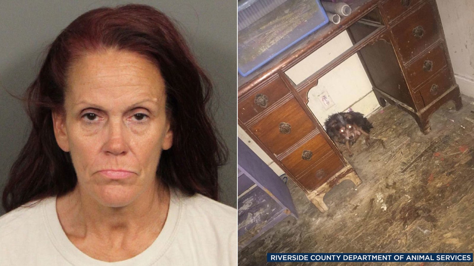 Coachella puppies dumped: Look inside Deborah Sue Culwell