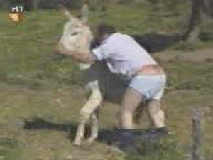 WWW.SOYDELOSRIOS.COM: QUE SICARIO!!!Lo encuentran teniendo sexo con un burro y se justifica diciendo que era prostituta que se transformó en burro