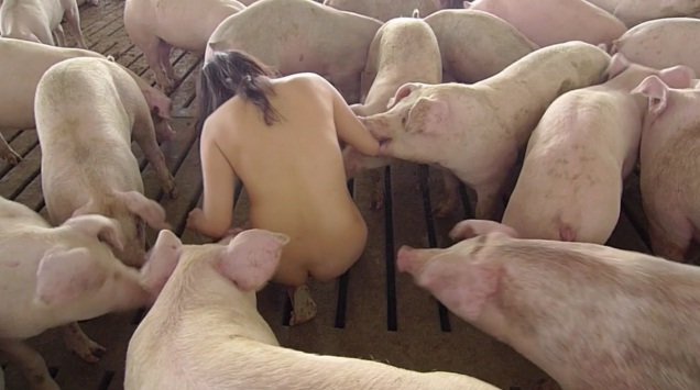 Miru kim una mujer coreana convive con cerdos para despertar conciencias