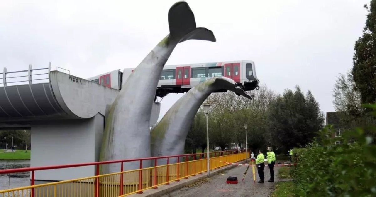 9 metro 1.jpg?resize=1200,630 - Un métro déraille et termine miraculeusement sa course sur une statue de baleine