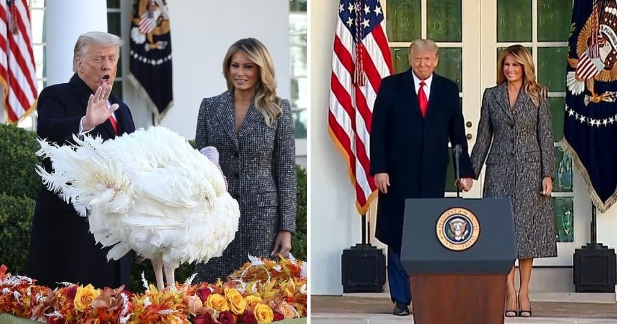 corn5.jpg?resize=1200,630 - President Donald Trump Pardons Corn The Turkey As Joe Biden Transition Formally Begins