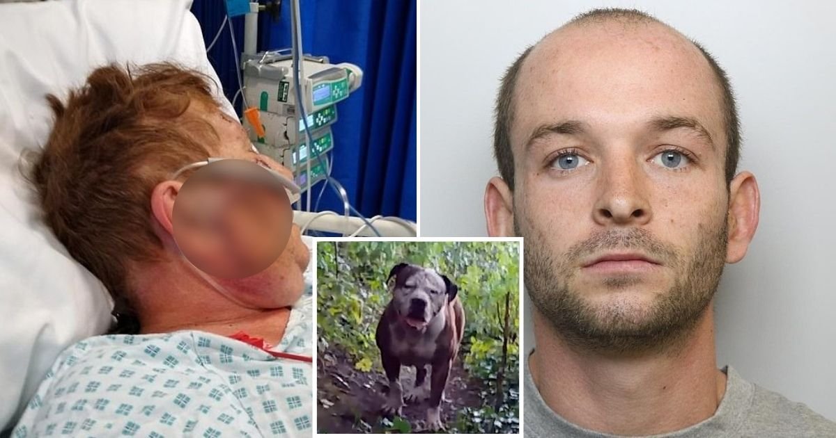 doggo.jpg?resize=412,232 - Elderly Woman Attacked By Pit Bull 'Like A Lion Dragging An Antelope'