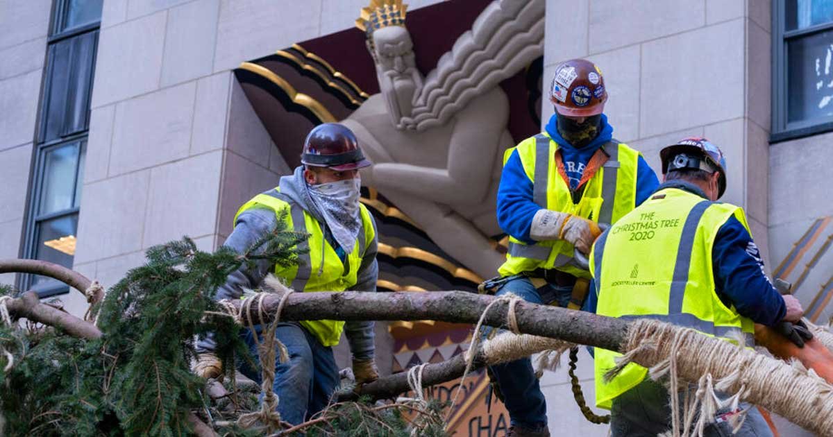 download 4.jpg?resize=412,275 - Workers Spotted Adding Branches To Rockefeller Christmas Tree