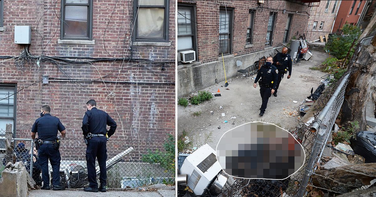 dssfsdf.jpg?resize=1200,630 - Newborn Twin Babies Found Dead Outside An Apartment In Bronx