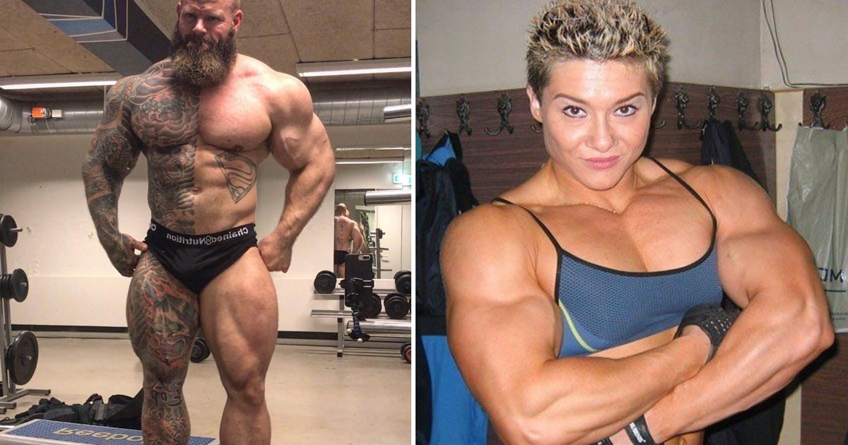 hhhsh.jpg?fit=1024%2C538&ssl=1&strip=all - This Bodybuilder Forum Shows How Men With Muscle Can't Agree On Anything