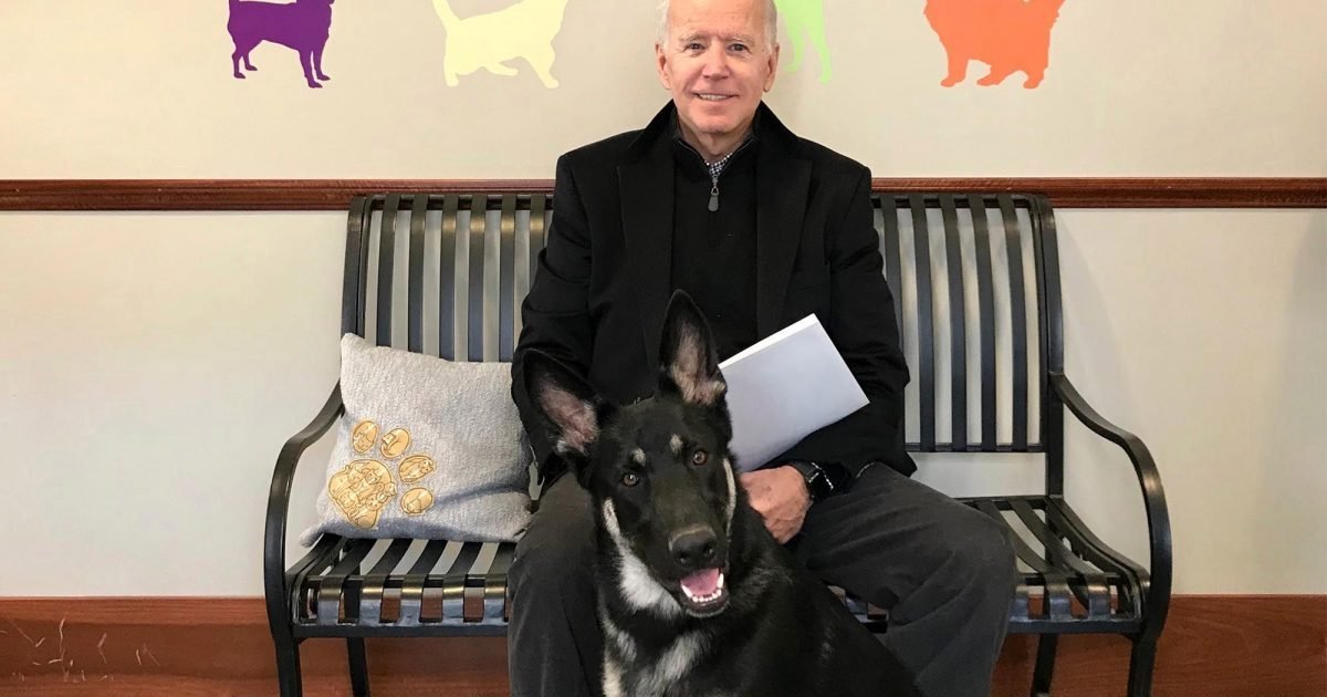 le1 ma 1 e1606736759122.jpg?resize=412,232 - Joe Biden se fracture le pied en jouant avec son chien