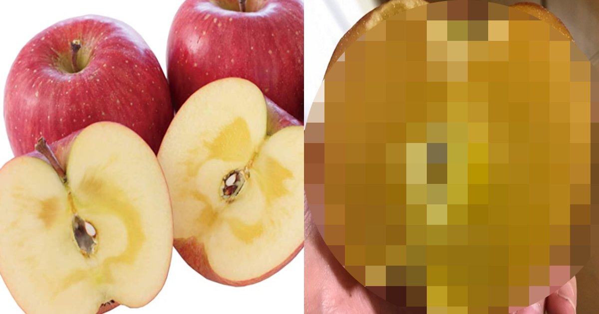 ringo 100.png?resize=1200,630 - 日本のある農家で収穫した「はちみつリンゴ」のビジュアルに驚愕！味は一体…?!