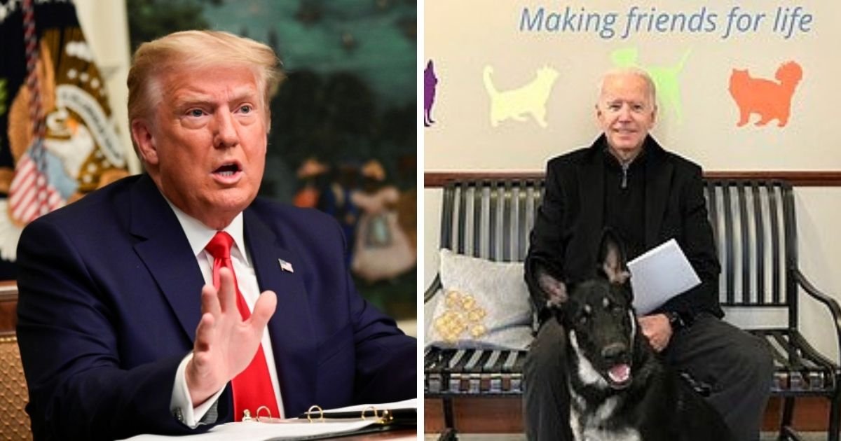trump 5.jpg?resize=1200,630 - President Trump Tells Joe Biden To 'Get Well Soon' After He Fractured His Ankle While Playing With His Dog