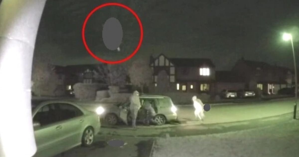 untitled design 2 3.jpg?resize=412,232 - Group Caught On Camera Throwing Dead Animals At A Family Home