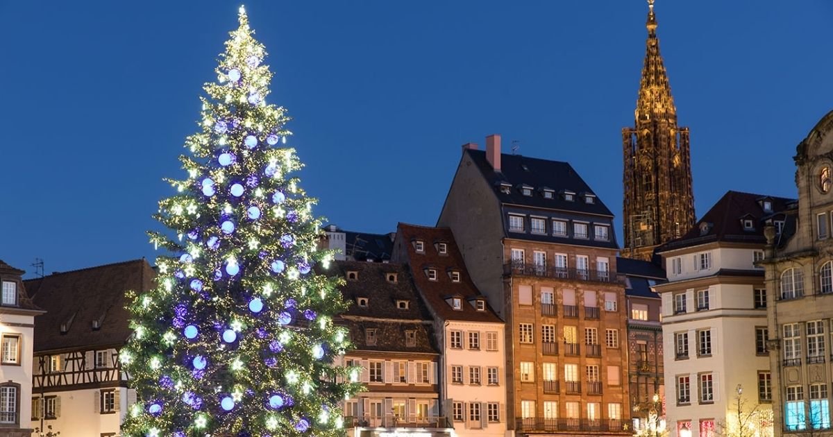 vonjour4.jpg?resize=1200,630 - Strasbourg : le grand sapin de Noël a été installé