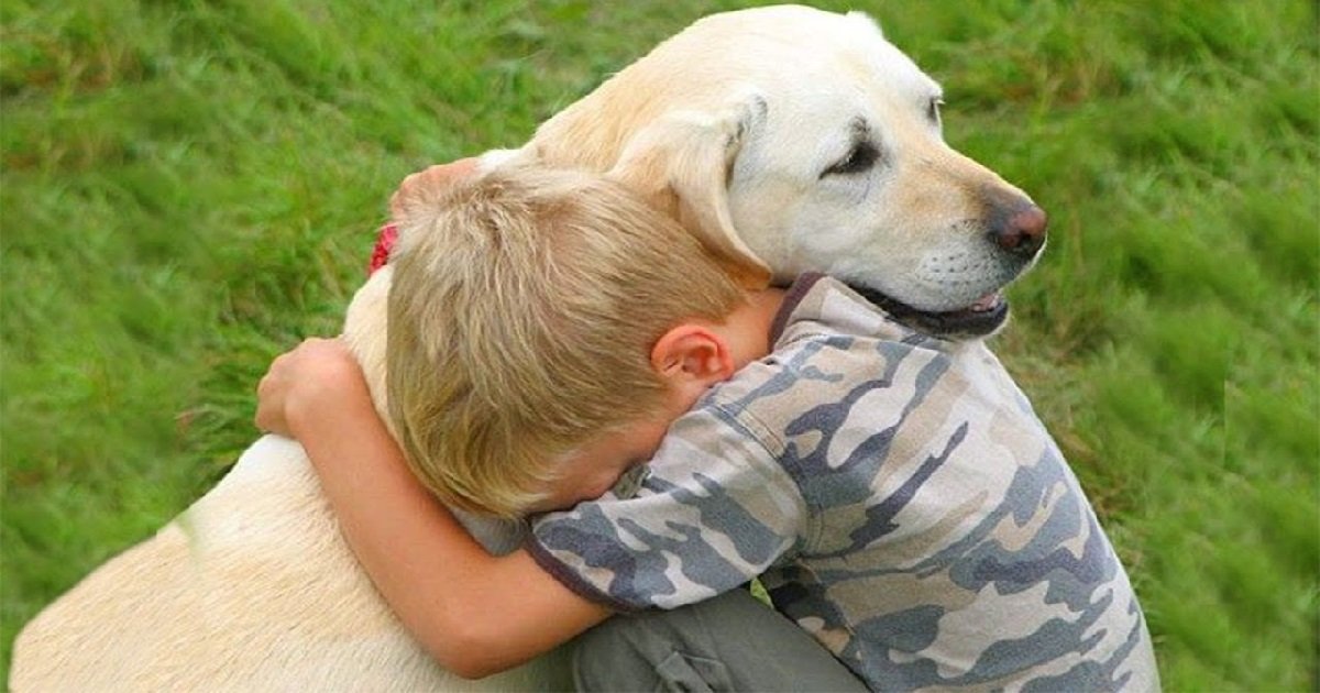 1 chien.jpg?resize=412,275 - Fait divers: un enfant de trois et son chien ont été abandonnés dans un cimetière