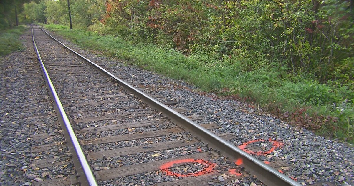 2 voie fer.jpg?resize=1200,630 - Ain: un ado porté disparu depuis mardi a été retrouvé mort près d'une voie ferrée
