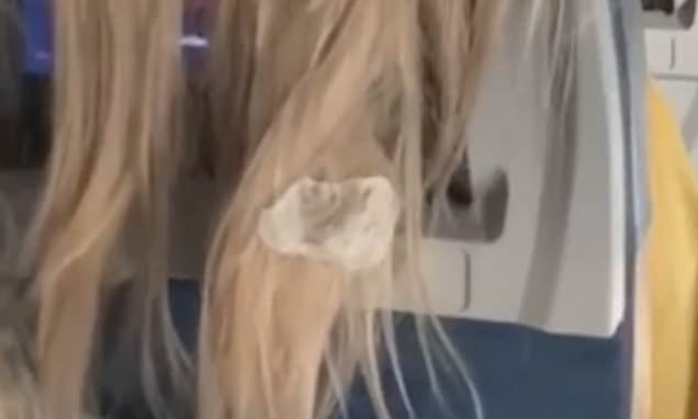 Plane passenger sticks chewing gum into woman