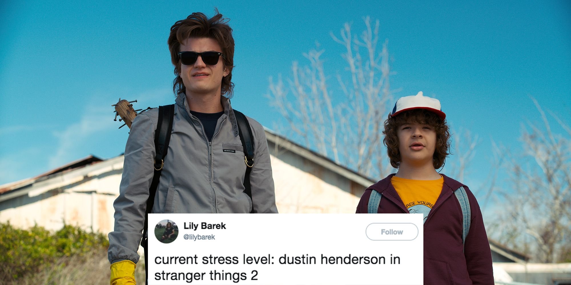 Stranger Things Memes