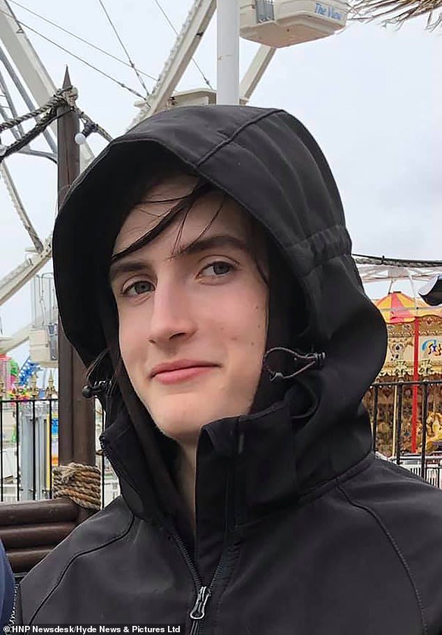 Rowan Thompson was visiting his mother Joanna Thompson and the pair had just returned for a morning jog when the 17 year old attacked her in her Hampshire home