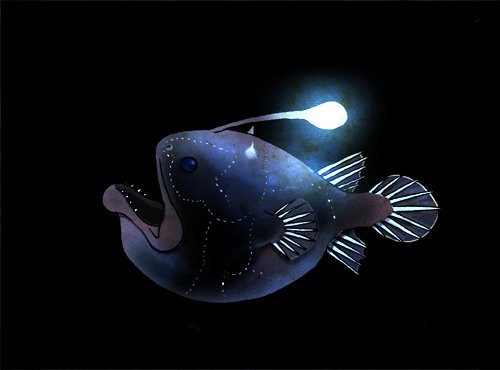 These Uniquely Bizarre Mariana Trench Fish Live In The Ocean S Deepest   4166504 546e9ae7e091f880a8a3ac17c20ee1cc 1608239346 