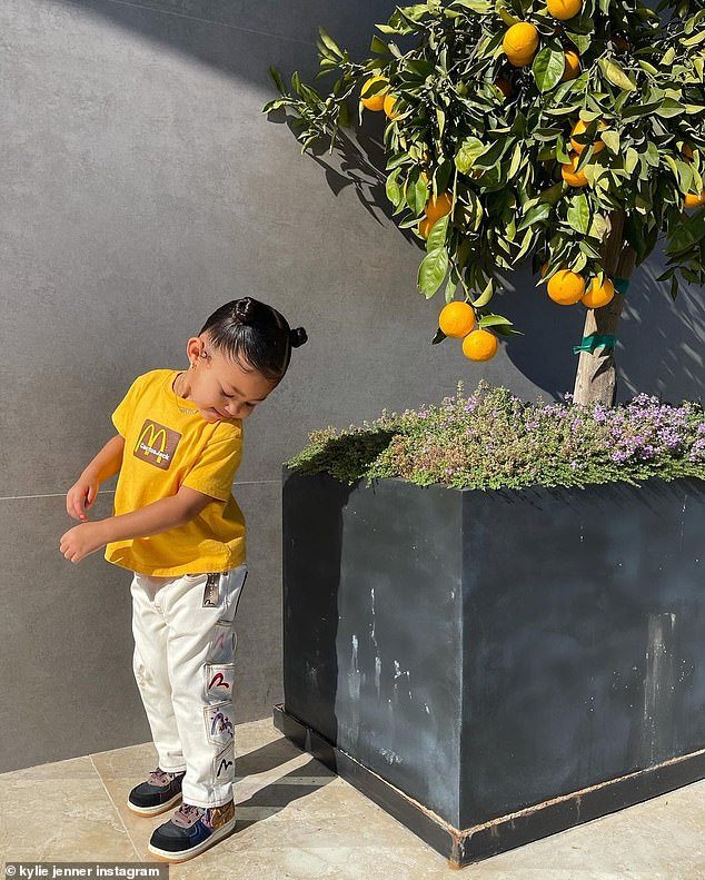Fashionista-in-training: Kylie Jenner, 23, shares sweet snaps of super stylish two-year-old Stormi as she rocks a gold T-shirt and colorful embroidered jeans while marveling over a tangerine tree