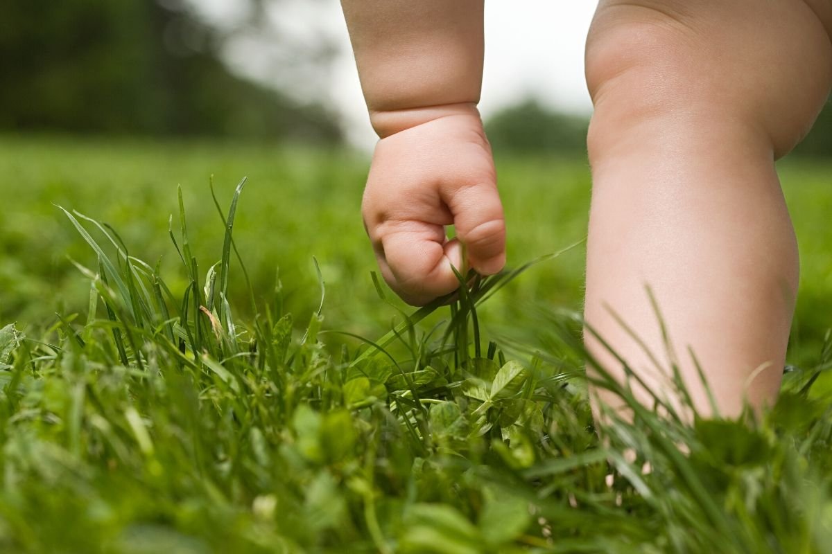 Médico ajuda meio ambiente doando árvores para mães no parto: “A criança deve florescer junto com a natureza” – Pais&Filhos