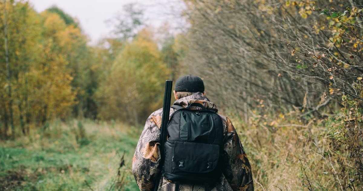 6 chass.jpg?resize=412,275 - Carnage: 16 chasseurs ont tué 540 bêtes lors d'une chasse privée