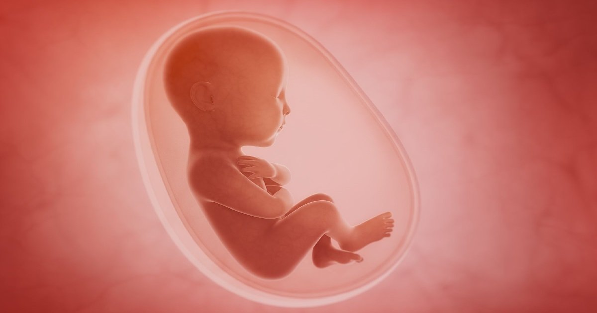7 embryon.jpg?resize=1200,630 - Molly Gibson, cette fillette qui est née grâce à un embryon qui a été congelé fin 1992