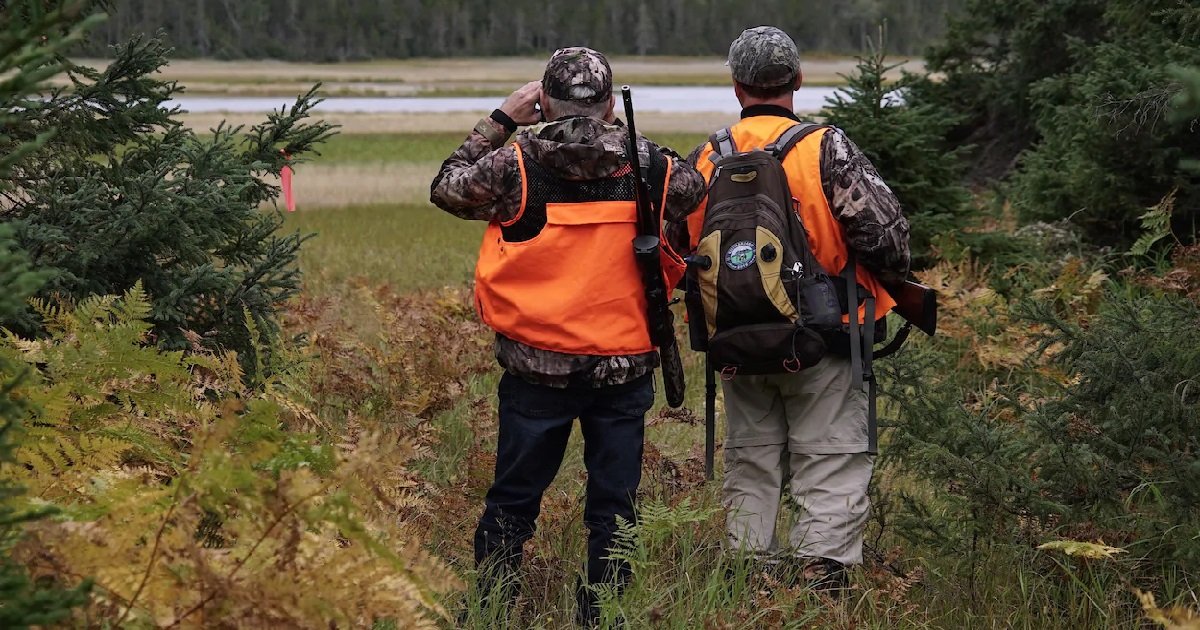 8 chasseur.jpg?resize=412,275 - Des chasseurs ont découvert des restes humains dans un bois d'Ille-et-Vilaine