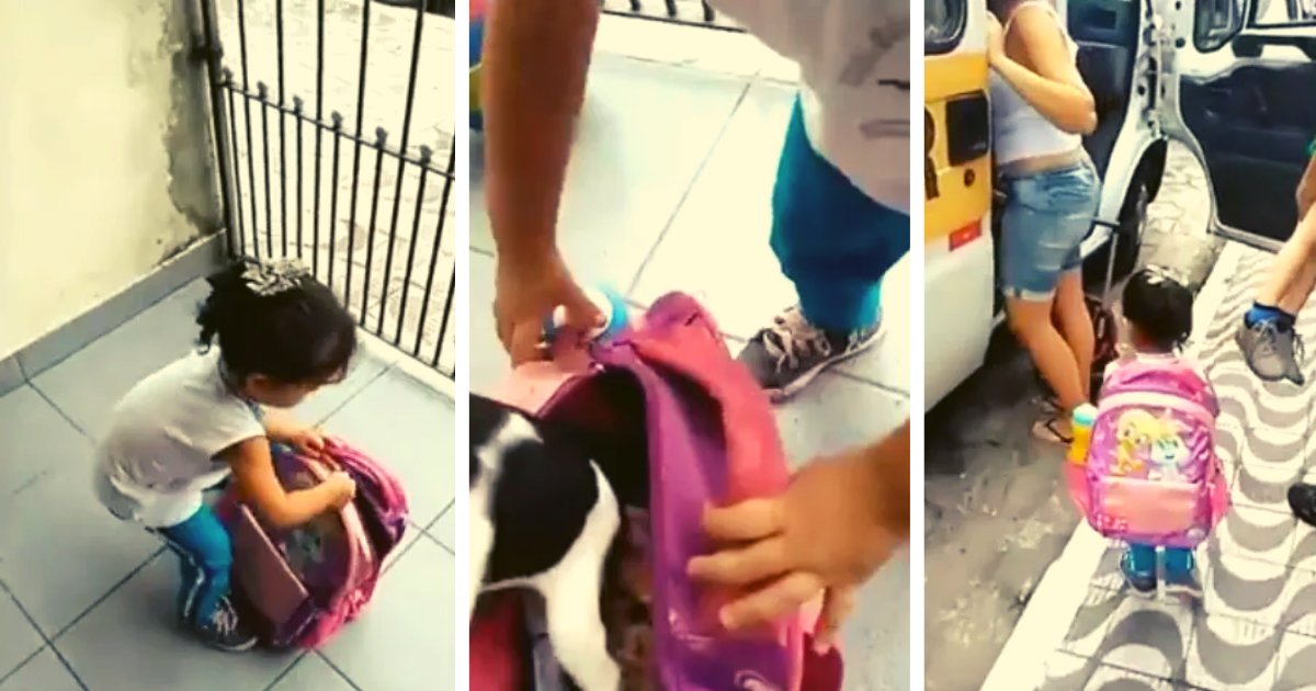 articulosportadas 5 1.png?resize=1200,630 - Niña Es Grabada Mientras Ocultaba A Su Perro Dentro De La Mochila Para Llevarlo Al Colegio