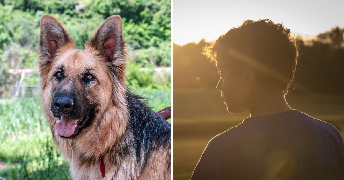 farm5.jpg?resize=412,275 - Boy Mauled By A German Shepherd At A Farm Where His Family Breeds And Raises Dogs