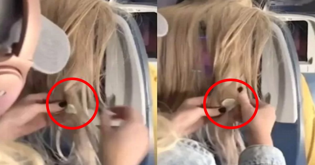 gamu.png?resize=1200,630 - 前の座席の乗客が髪の毛で邪魔をしてきたことに腹を立て噛んだガムを貼り付けた女性がヤバい件