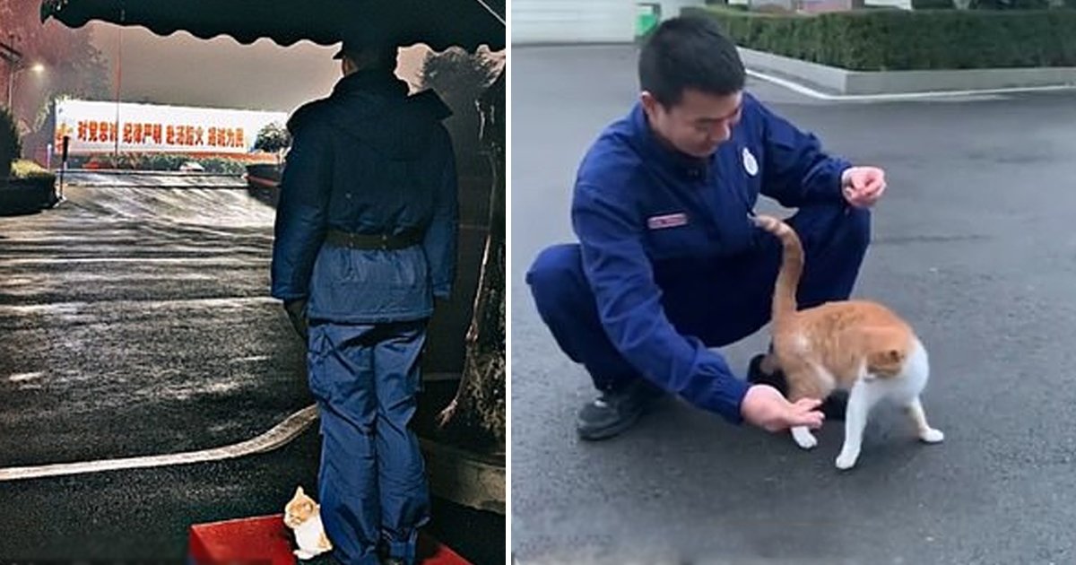 haha.jpg?resize=1200,630 - A Former Stray Adopted By Firefighters Goes On Duty With Them Every Single Day