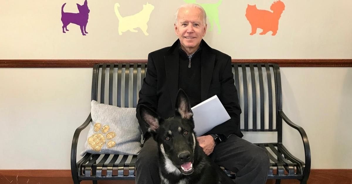 instagram.jpg?resize=412,232 - Joe Biden Fractured His Right Foot From Playing With His Dog