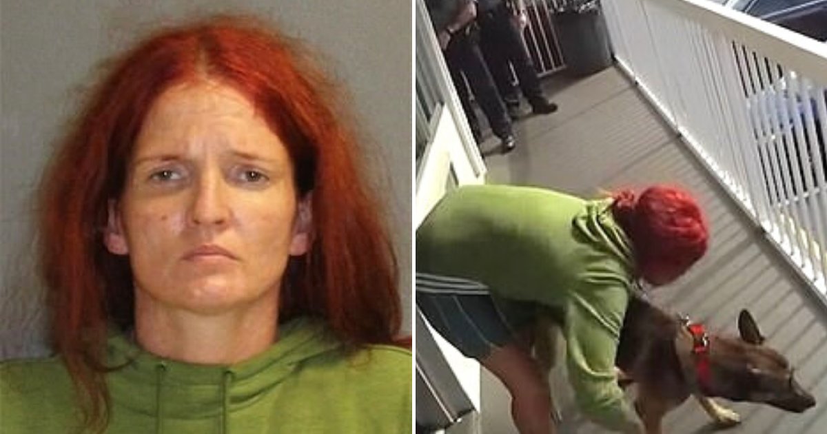 murphy5.png?resize=412,275 - Bodycam Footage Shows Woman Throwing Her Pet Dog Off Balcony