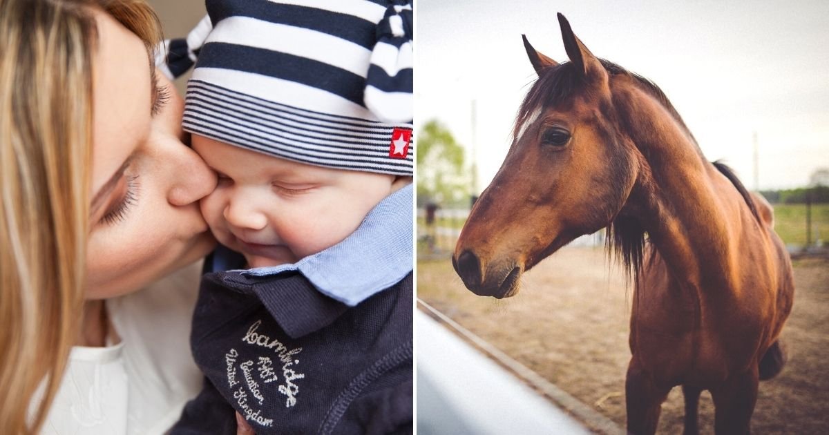 name4.jpg?resize=412,275 - Woman Cries After Mother-In-Law Says Their Baby’s Name Would Be Better For A Horse