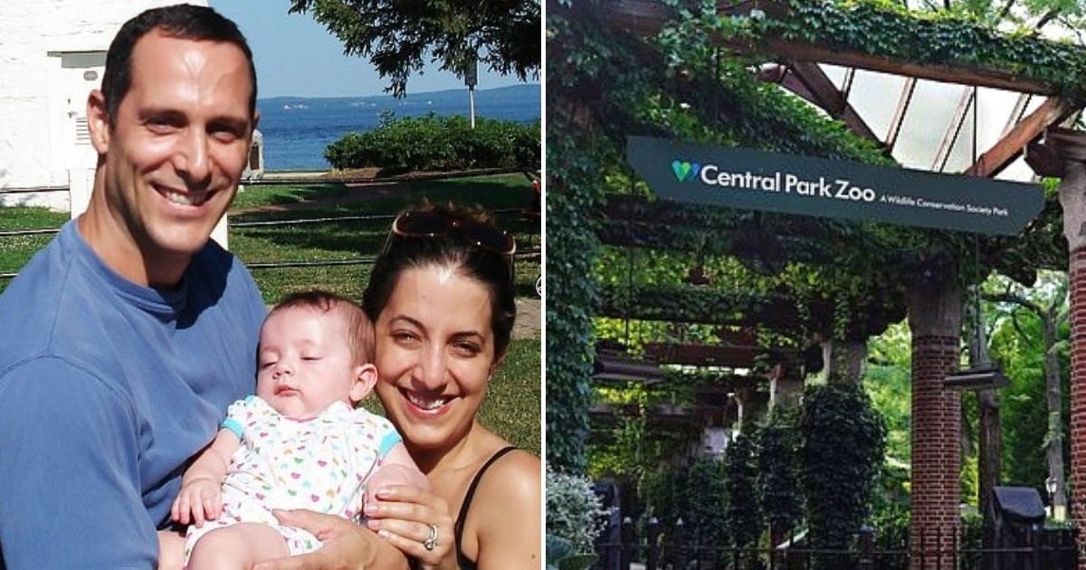 tree5.jpg?resize=412,275 - Couple Whose 6-Month-Old Baby Was Killed By A Tree Branch In Central Park Win $31.75 Million In Lawsuit