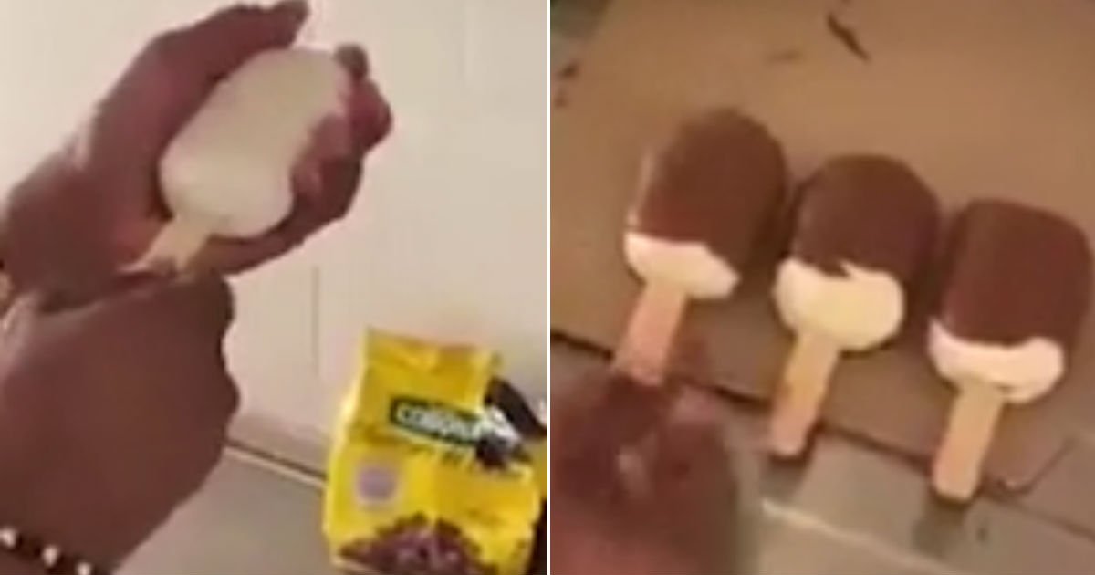 untitled 22.jpg?resize=412,232 - 배고픈 노숙자에게 '초콜릿' 묻힌 '이것' 먹인 '인성 최악' 유튜버 (영상)