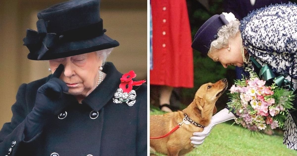untitled design 10.jpg?resize=412,232 - The Queen Left Heartbroken After Her Loyal Dog Dies