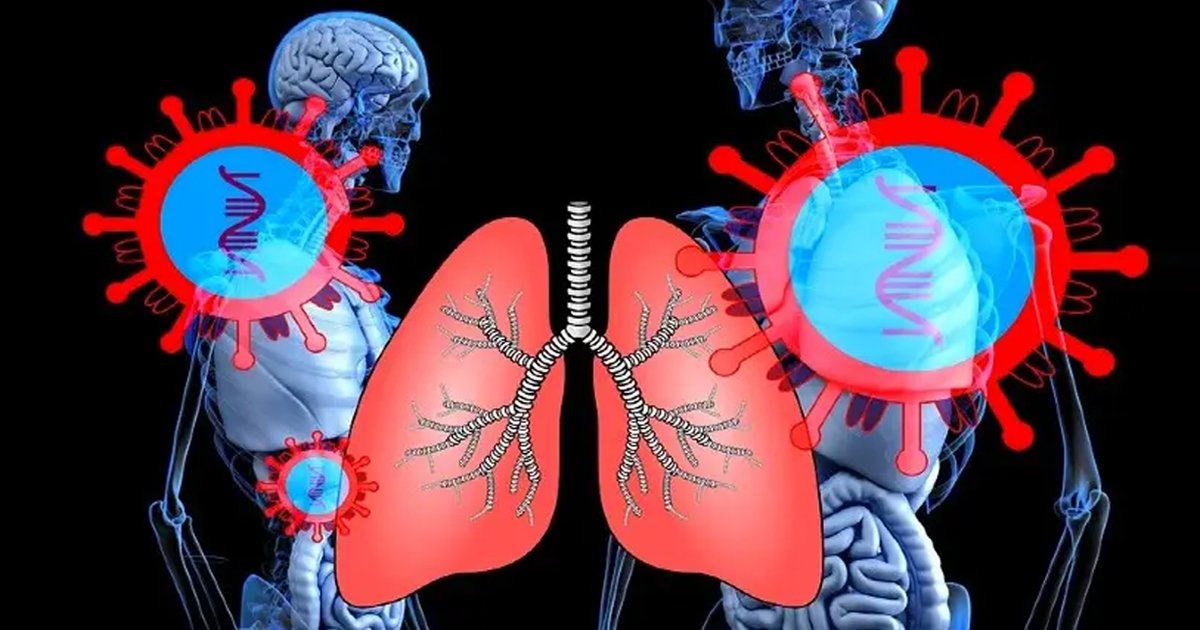 1 145.jpg?resize=412,232 - Científicos Descubren Cuál Es La Debilidad Del Cuerpo Que Usa El Coronavirus Para Penetrar Los Pulmones