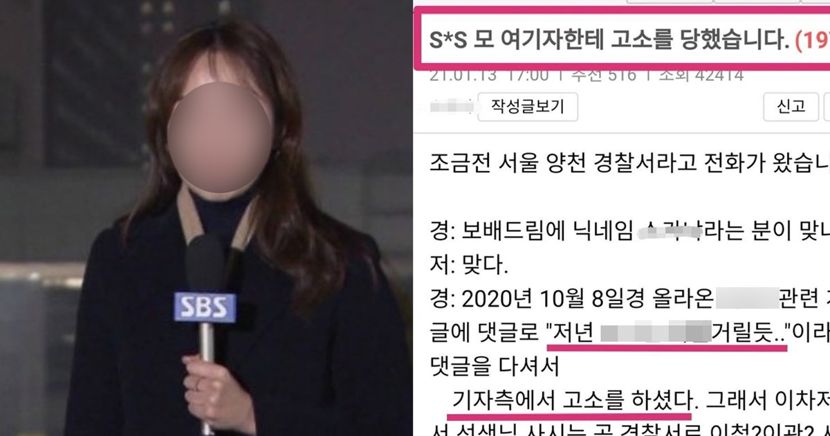 1 88.jpg?resize=412,275 - SBS 기자한테 '모욕죄'로 고소당한 '커뮤니티' 유저들 근황