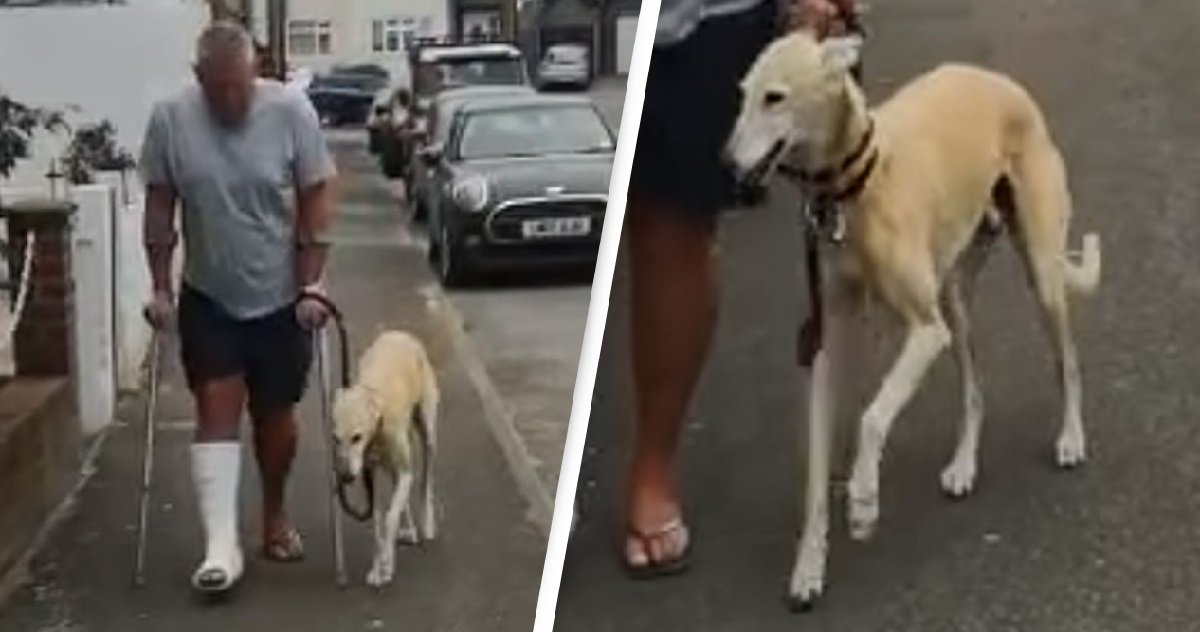 10 dog.jpg?resize=412,275 - Un homme avec la cheville cassée découvre que son chien boitait juste pour l'imiter