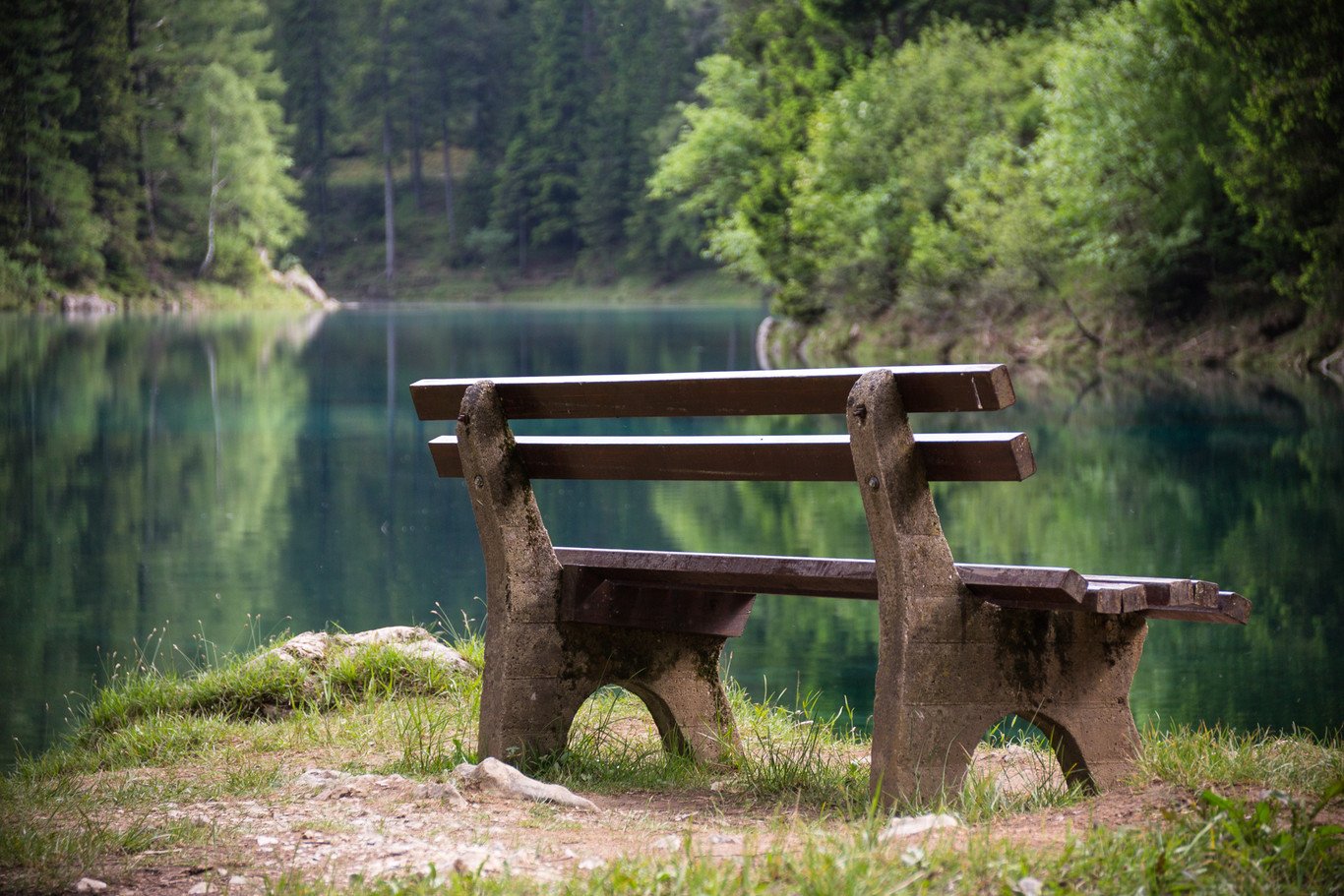 Lago Verde, el parque austriaco que "desaparece" bajo el agua cada primavera