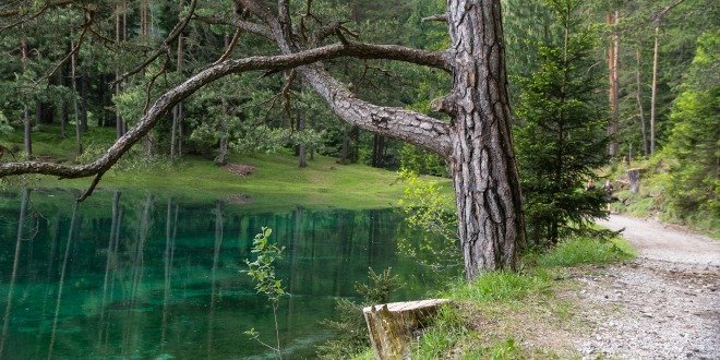 Green lake, el parque sumergido - Notiespartano