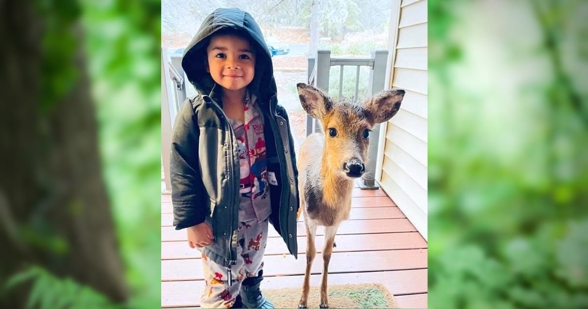 fawn6.jpg?resize=1200,630 - 4-Year-Old Boy Befriends A Baby Deer In The Woods And Brings It Home