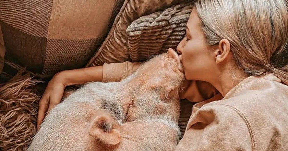 fgsdgsg 1 22.jpg?resize=1200,630 - Woman Says Living With A Pet Pig Is Like Having A Child